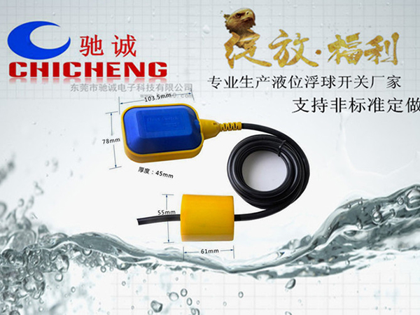 电缆水位控制开关ZC...