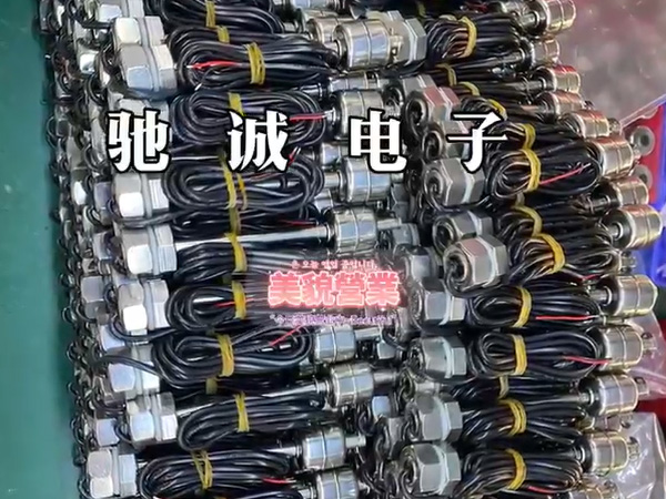 不锈钢液位浮球开关